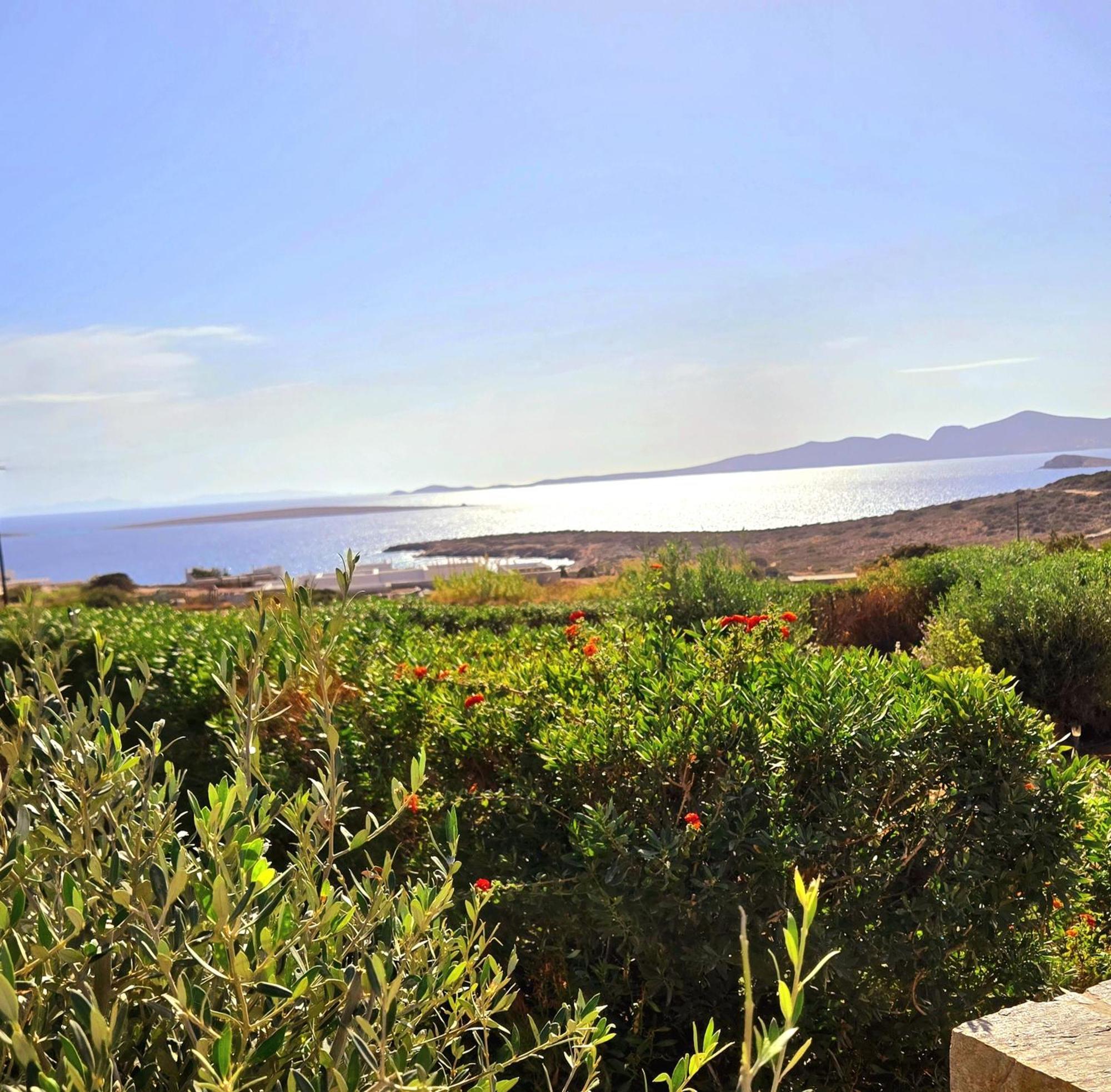 Paros Afrodite Luxury Villas Alikí Buitenkant foto